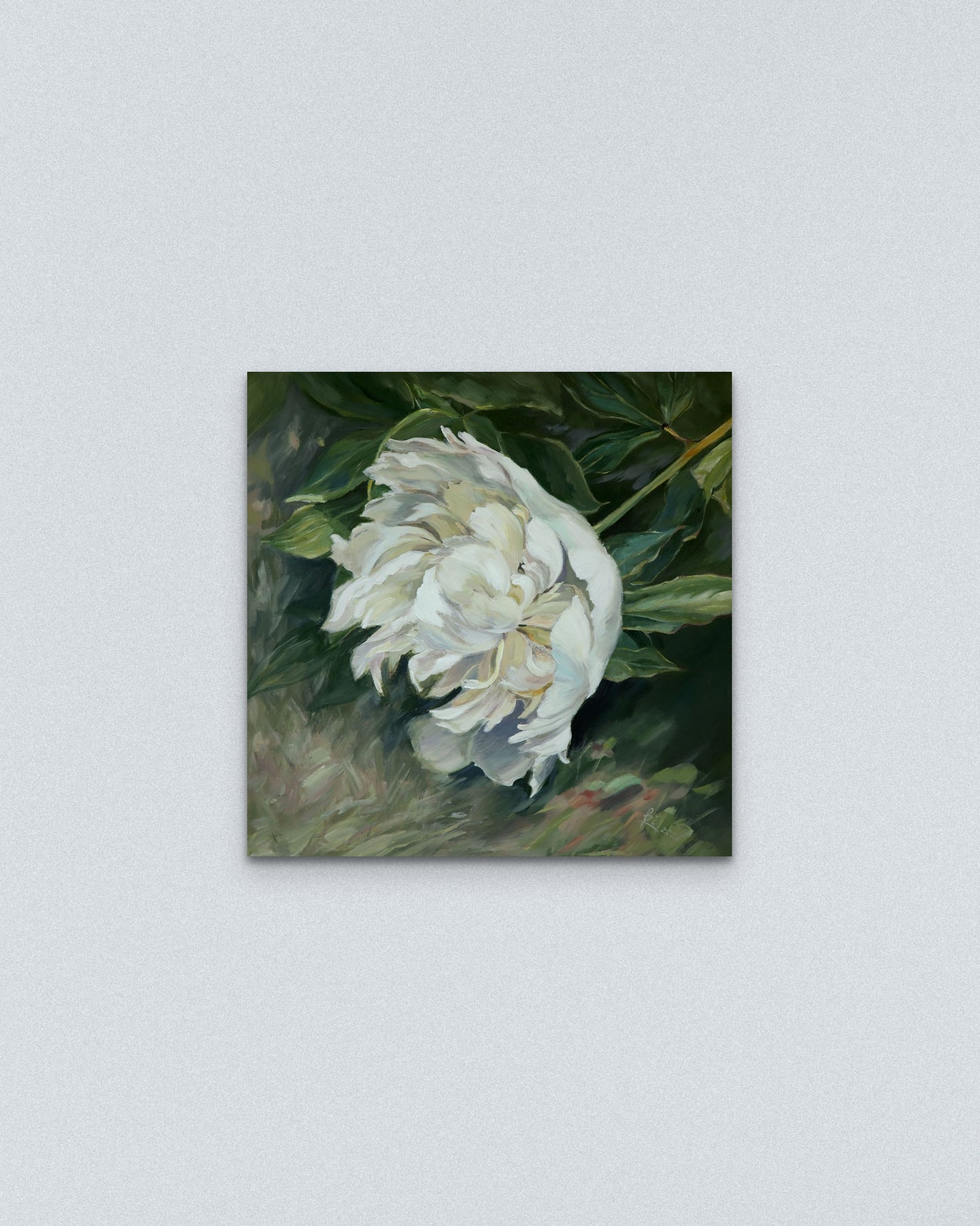 ,,Baltas bijūnas''/ ,,White peony''.