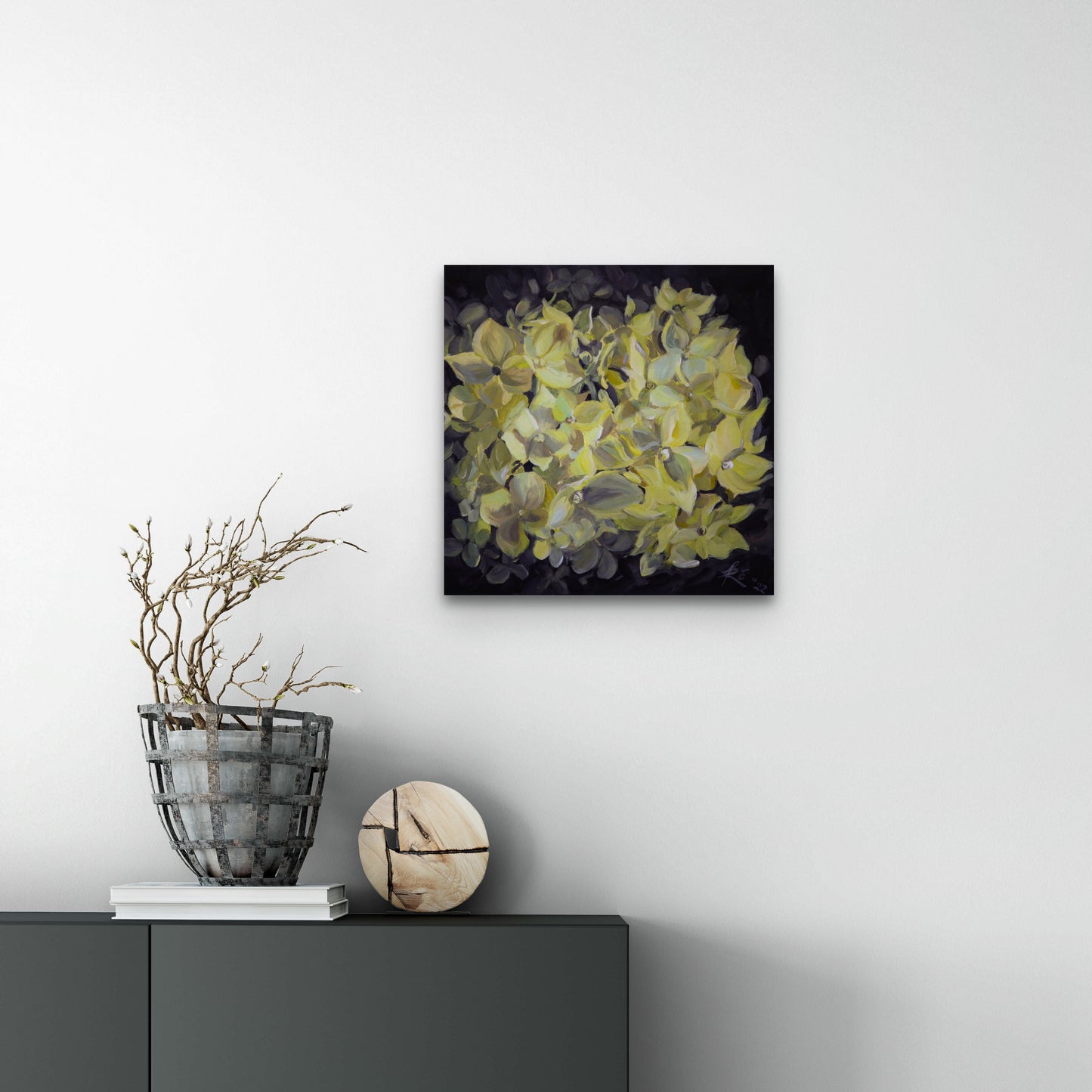 "Hydrangea blooming"