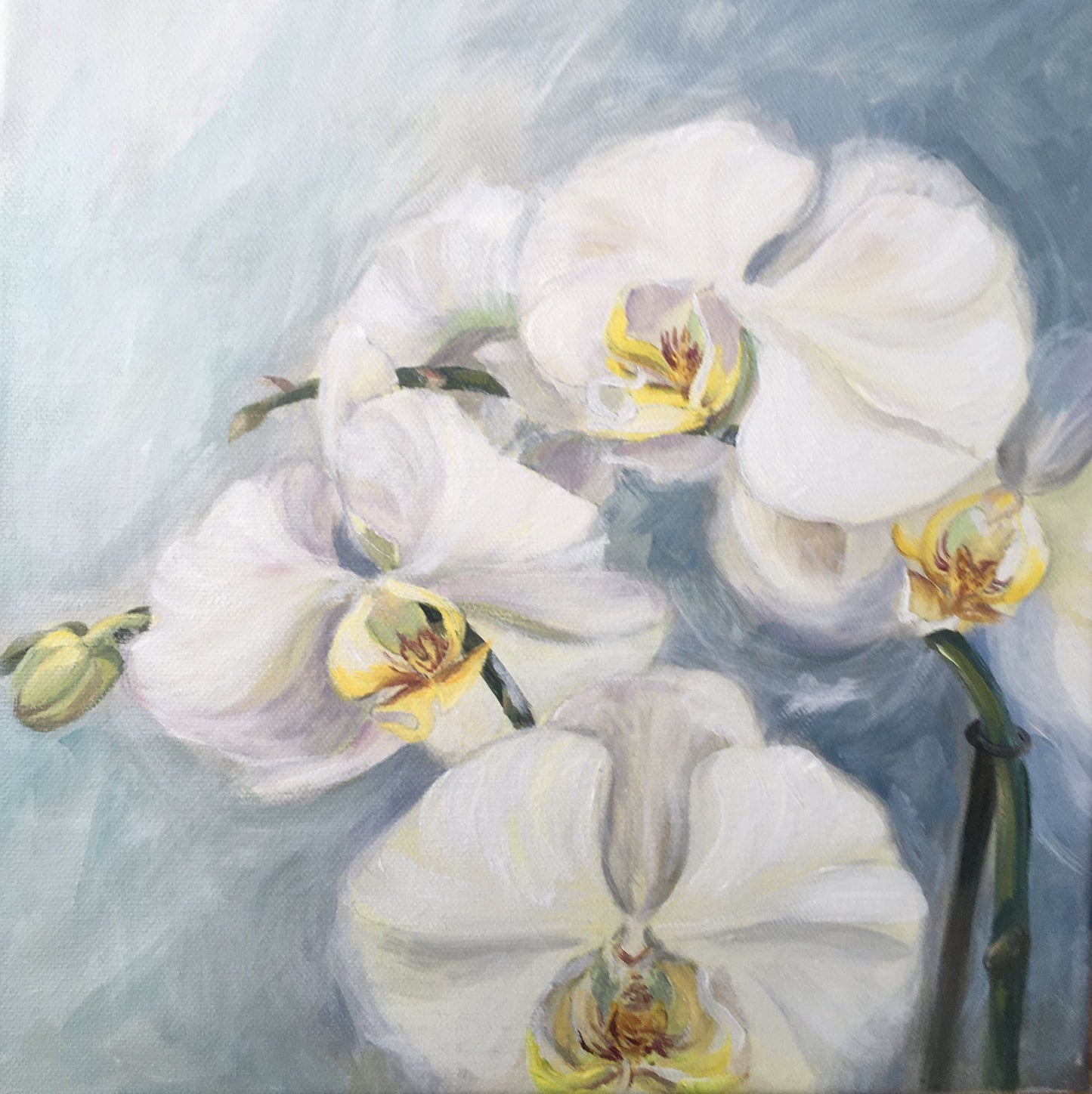 ,, Karališkos orchidėjos‘‘/,, Regal orchids‘‘