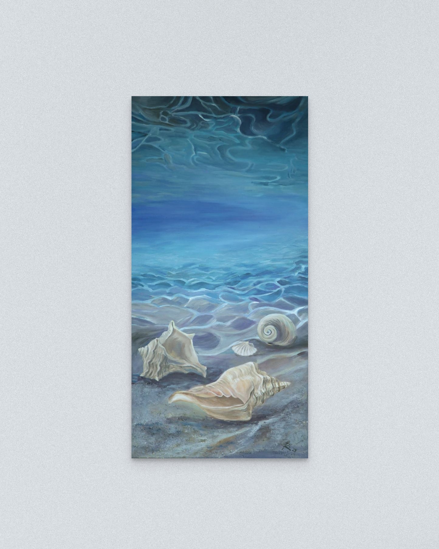 "Stories of Shells".