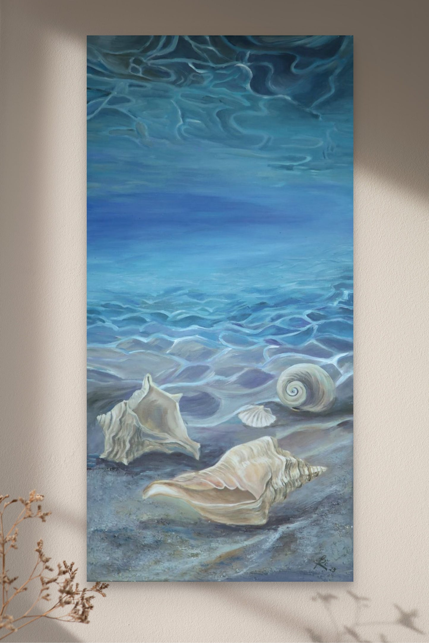 "Stories of Shells".
