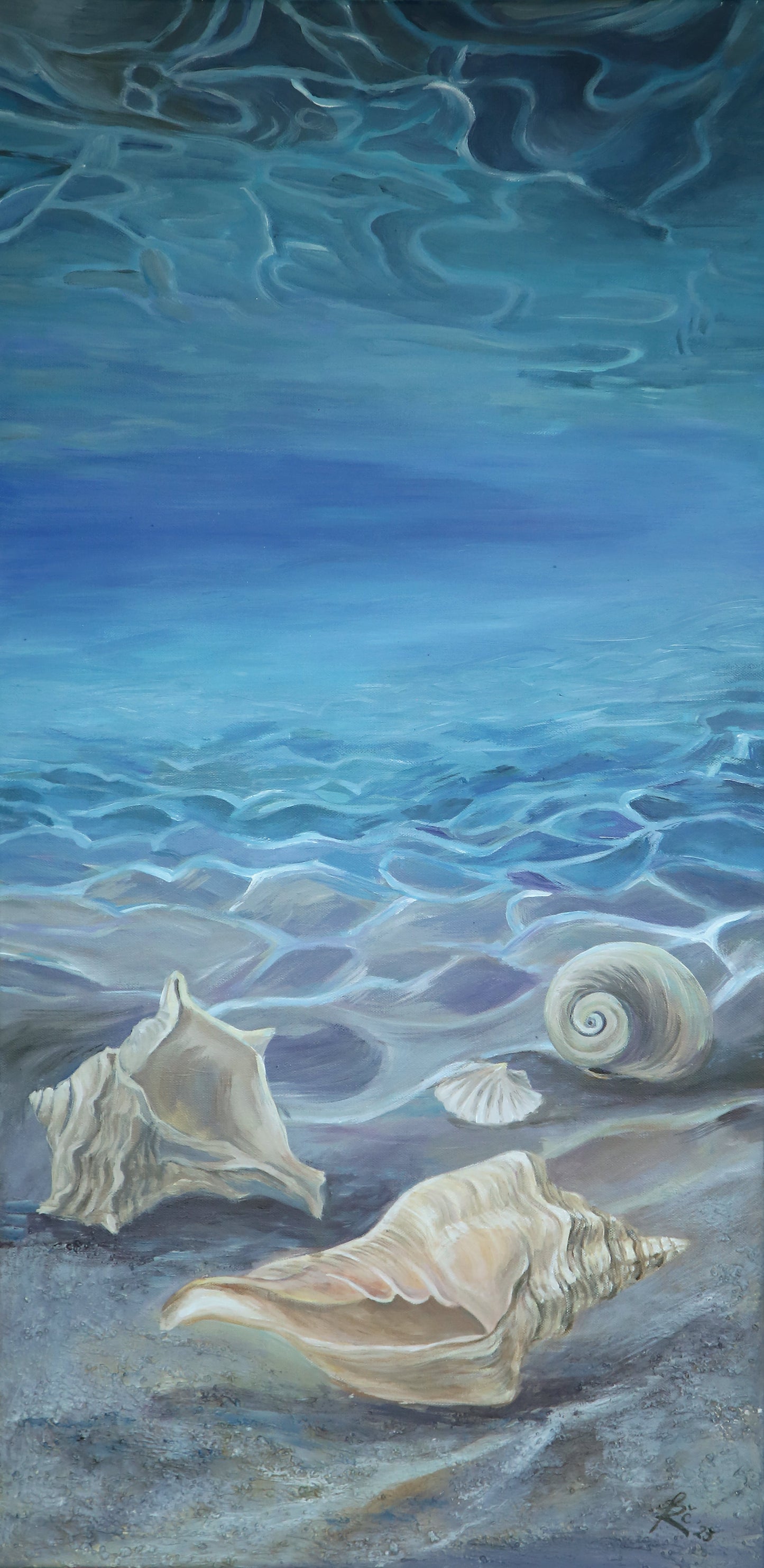 "Stories of Shells".