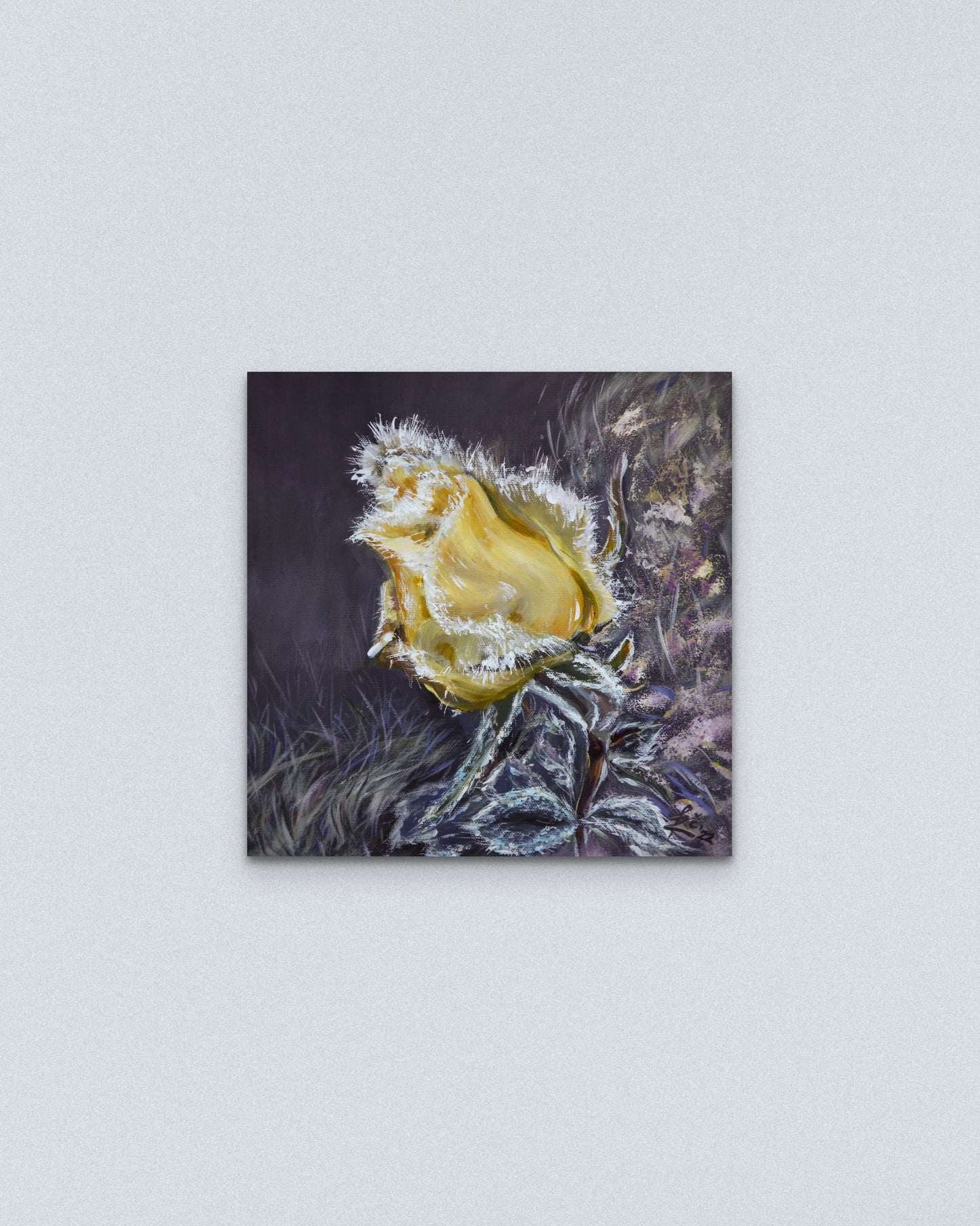 "A yellow rose"