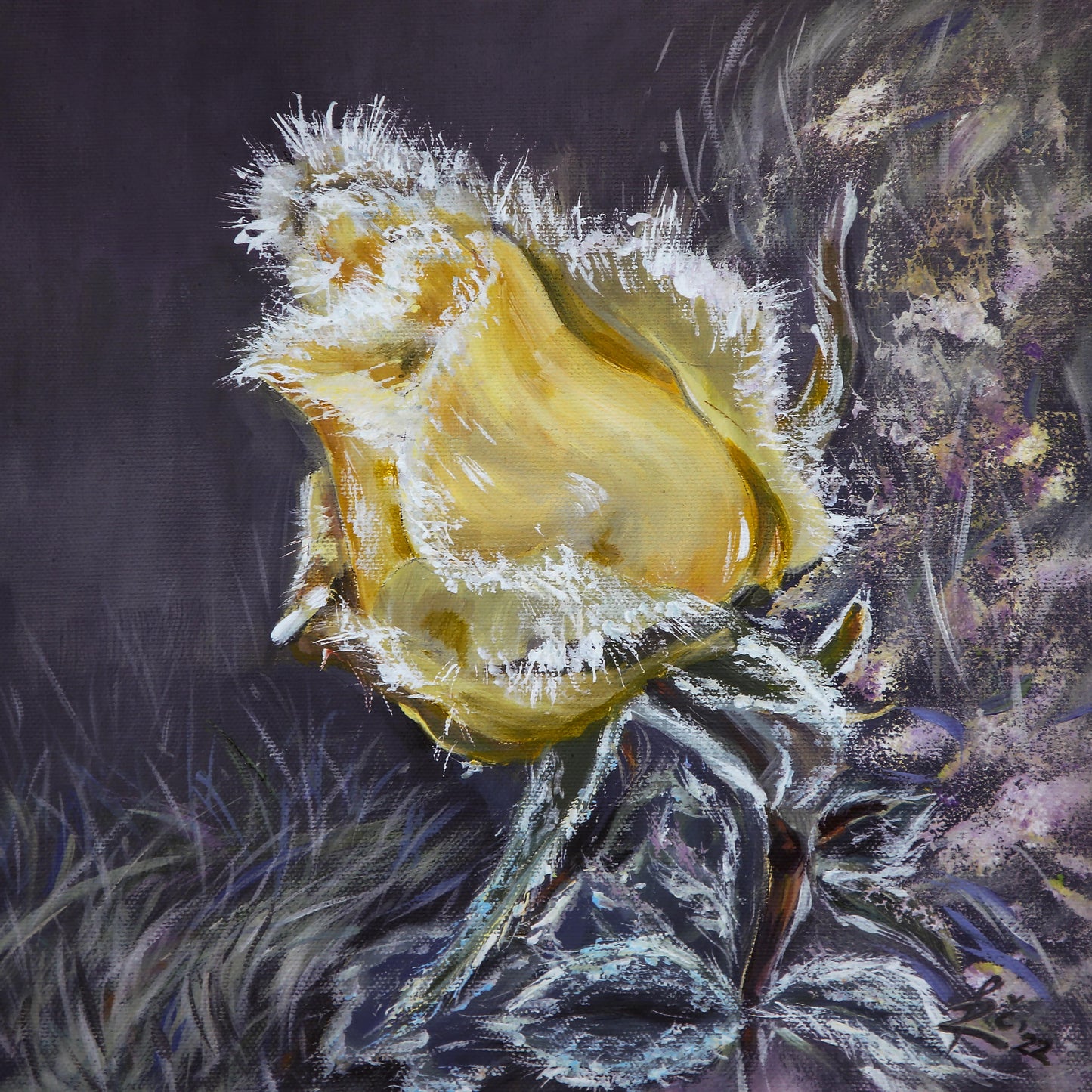 "A yellow rose"