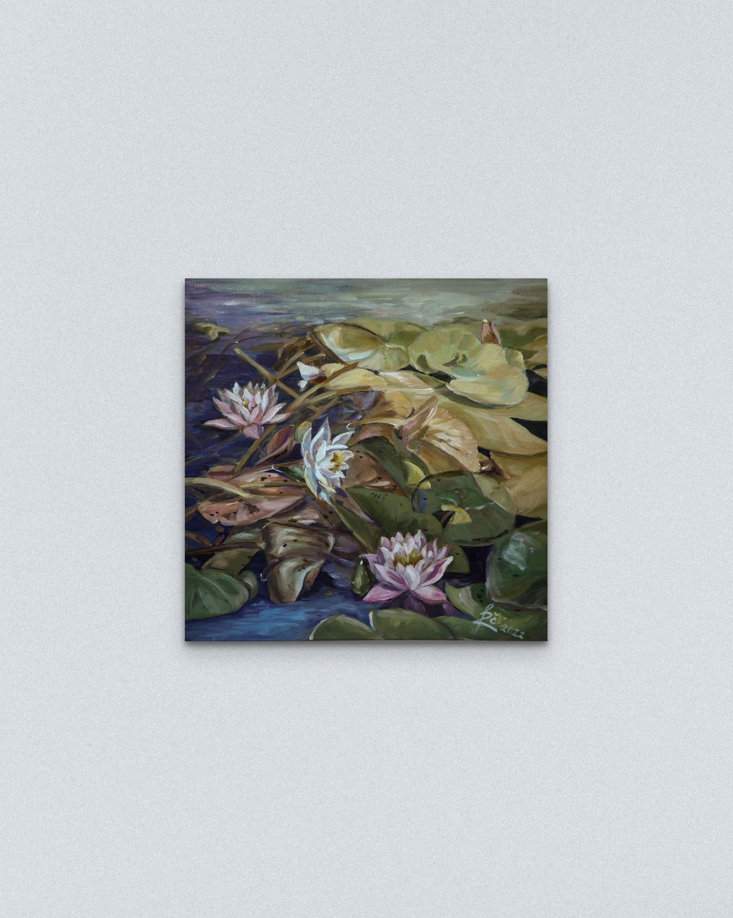"Water lilies"