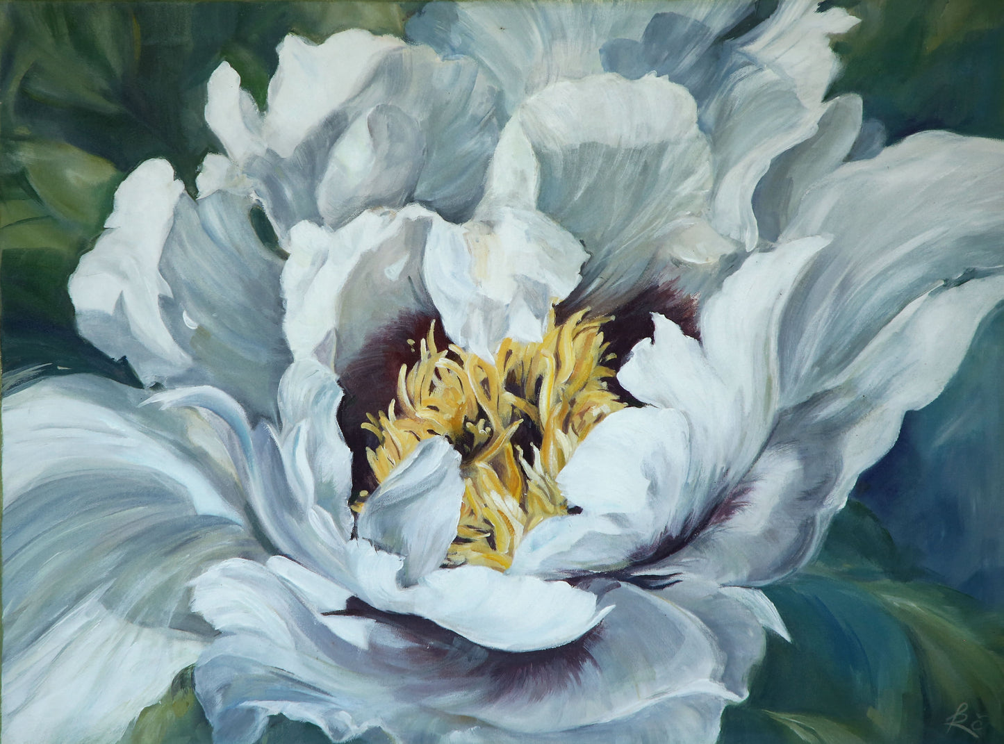 ,,Sumedėjusio  bijūno žiedas II‘‘/ ,,Woody peony blooming II ‘‘