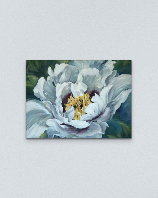 ,,Sumedėjusio  bijūno žiedas II‘‘/ ,,Woody peony blooming II ‘‘