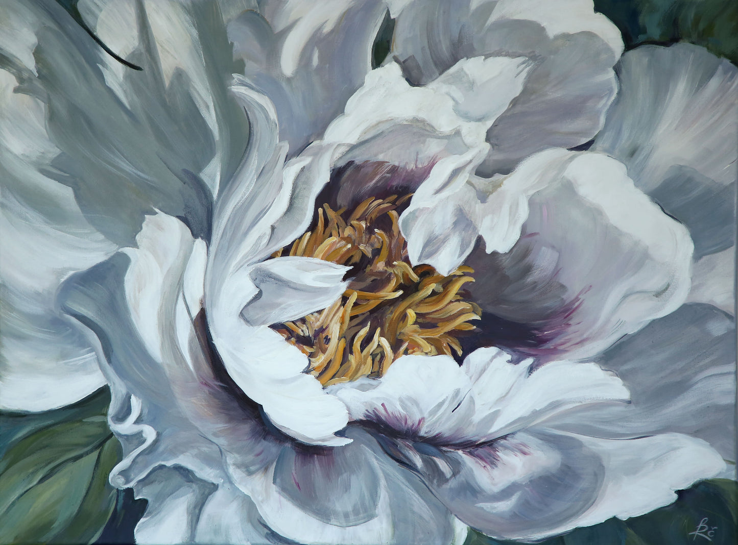 ,,Sumedėjusio bijūno žiedas I ''/ ,,Woody peony blooming I''