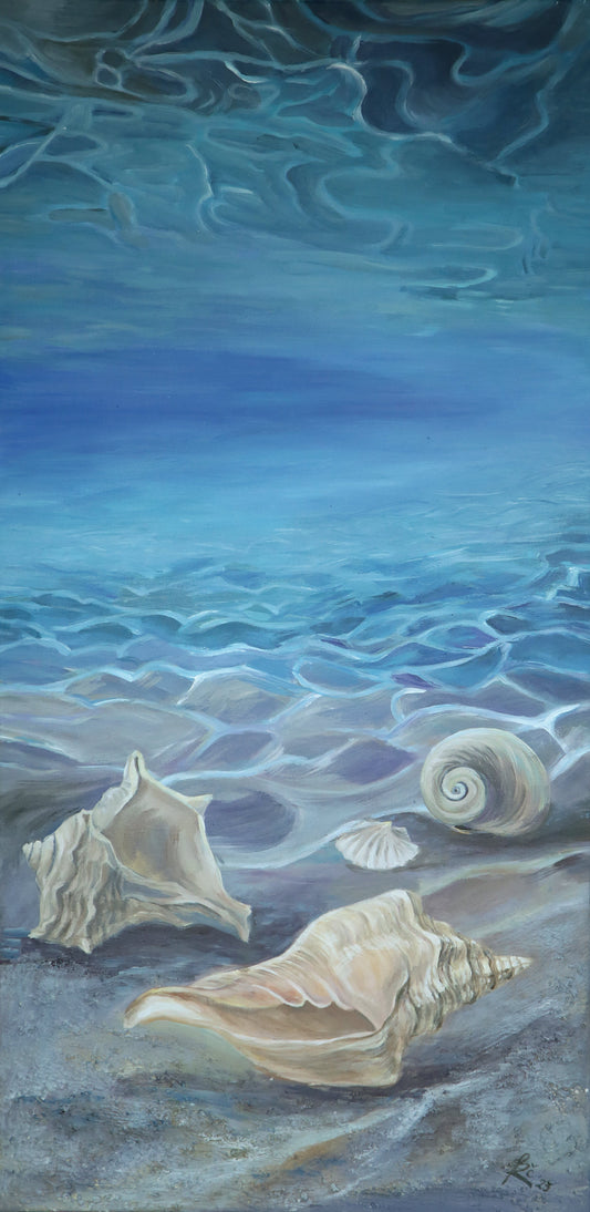 ,,Kriauklių istorijos'' / ,,Stories of Shells " .