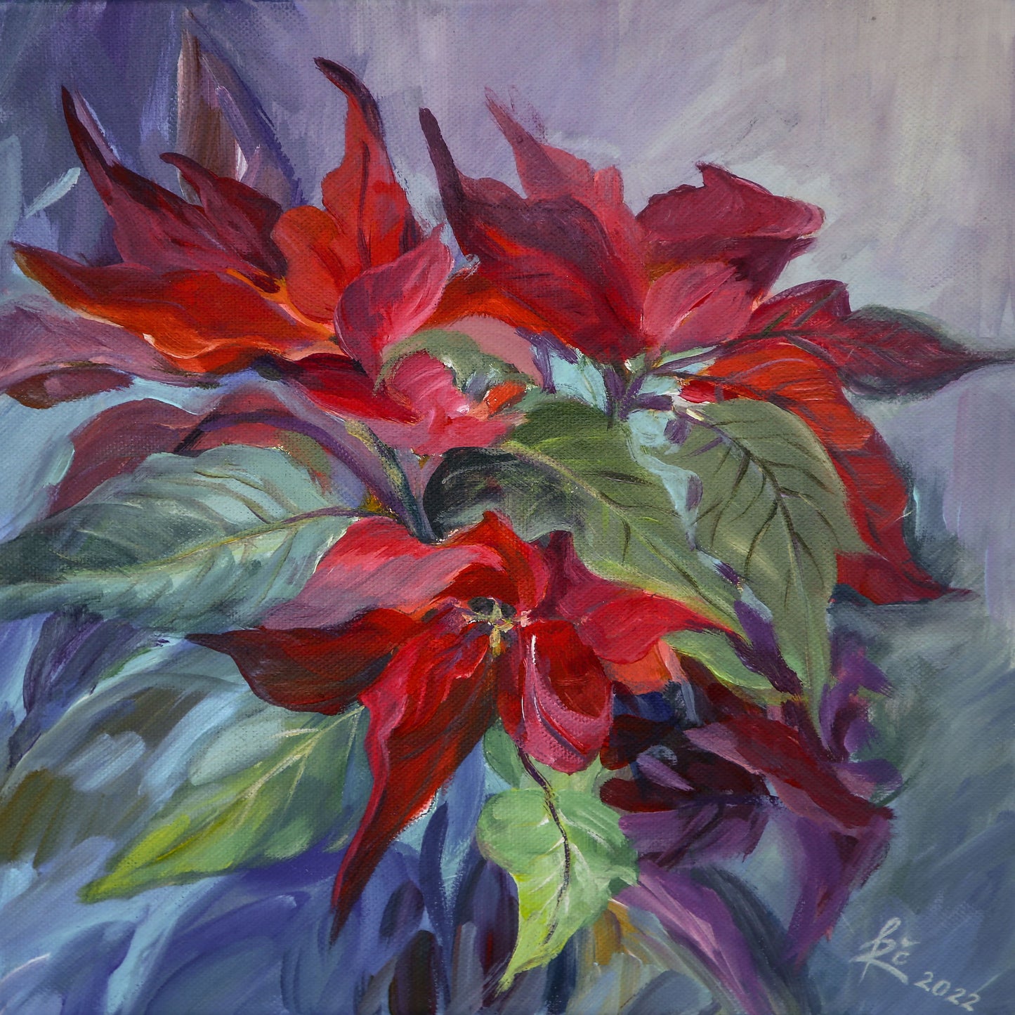 ,,Puansetija‘‘/,,Poinsettia ‘‘