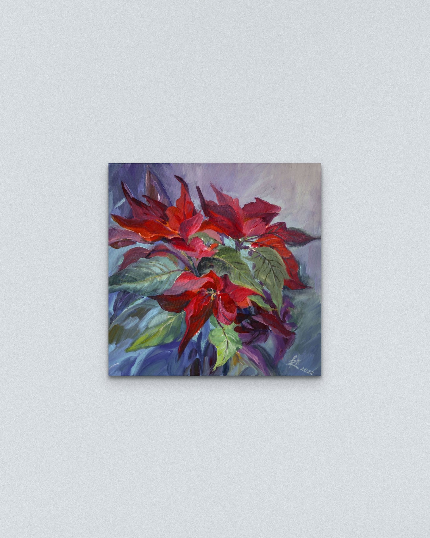 ,,Puansetija‘‘/,,Poinsettia ‘‘