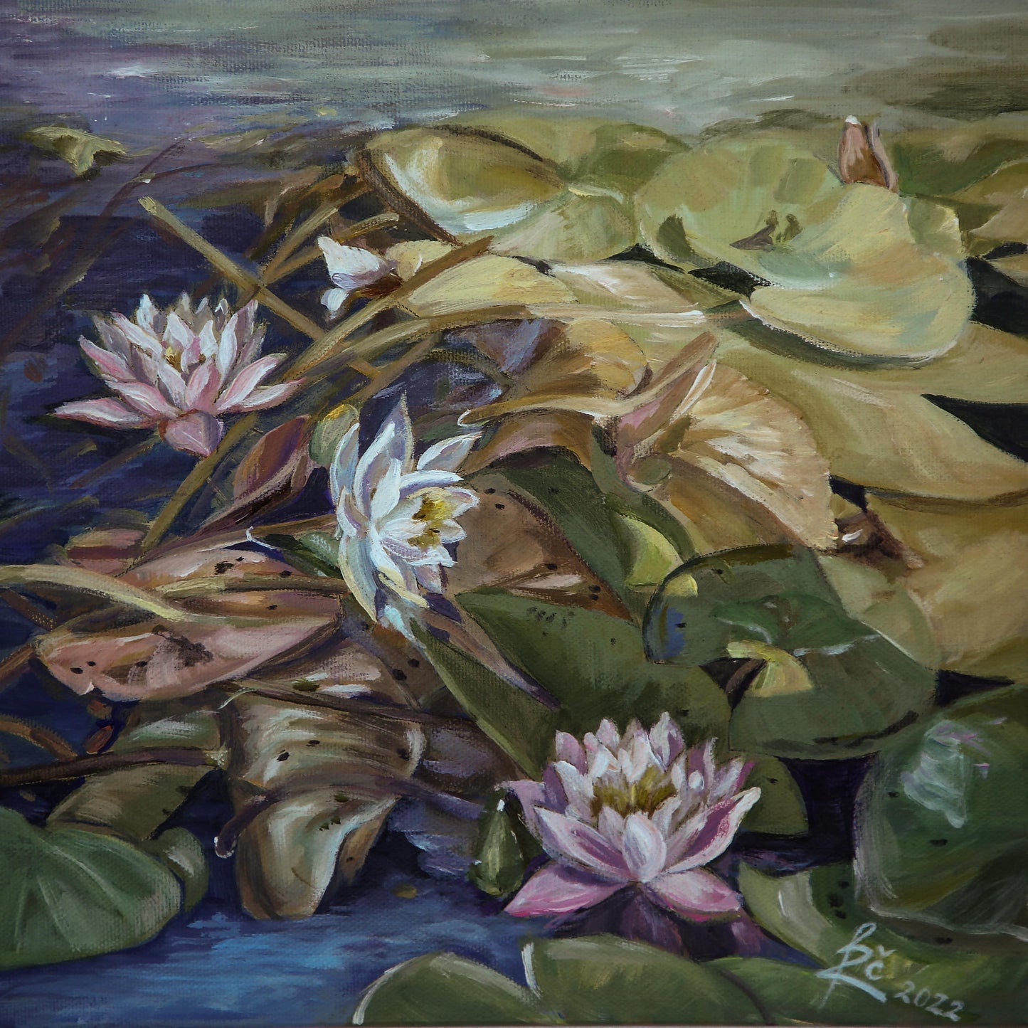 ,,Vandens lelijos‘‘/,, Water lillies ‘‘